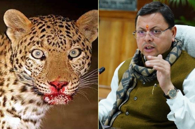 गुलदार के हमलों पर सीएम धामी गंभीर