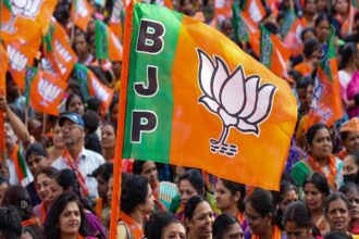 भाजपा के इस दांव में खतरे भी