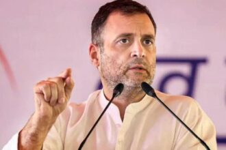 वायनाड से चुनाव लड़ेंगे राहुल गांधी, कई राज्यों के उम्मीदवारों के नाम पर लगी मुहर, यहां देखें लिस्ट