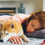 Pets के साथ सोते हैं तो तुरंत हो जाएं सावधान…