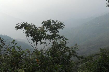 पहाड़ से लेकर मैदान तक एक बार फिर बढ़ेगा ठंड का प्रकोप