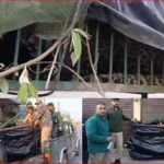 श्रीनगर का आदमखोर गुलदार हुआ पिंजरे में कैद, बीते दिन 7 साल की बच्ची पर किया था हमला