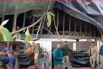 श्रीनगर का आदमखोर गुलदार हुआ पिंजरे में कैद, बीते दिन 7 साल की बच्ची पर किया था हमला