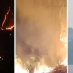 वनाग्नि की रोकथाम को लेकर उत्तराखंड सरकार की पहल, आग बुझाने वाले को मिलेगा एक लाख तक इनाम…