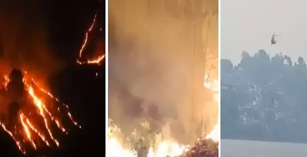 वनाग्नि की रोकथाम को लेकर उत्तराखंड सरकार की पहल, आग बुझाने वाले को मिलेगा एक लाख तक इनाम…