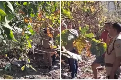 उत्तराखंड: यहां अर्धनग्न हालत में पेड़ पर लटका मिला युवती का शव, मची सनसनी