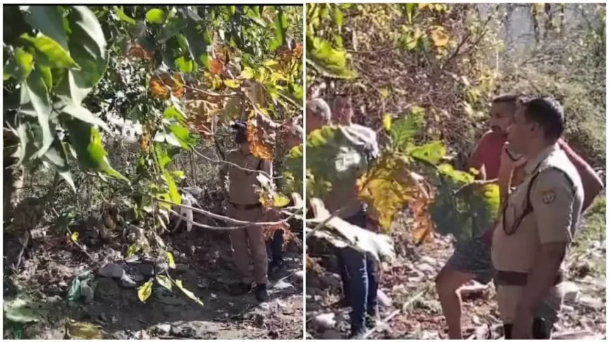 उत्तराखंड: यहां अर्धनग्न हालत में पेड़ पर लटका मिला युवती का शव, मची सनसनी