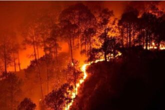 उत्तराखंड में मैदान से पहाड़ तक धधक रहे जंगल, एक दिन में 76 हेक्टेयर से अधिक वन क्षेत्र प्रभावित