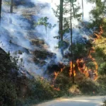 उत्तराखंड: लकड़ी के मकान में लगी भीषण आग, दो लोगों की दर्दनाक मौत