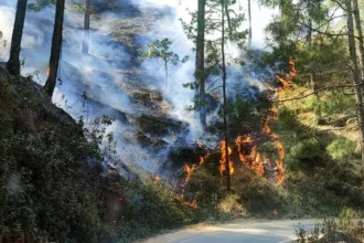 उत्तराखंड: लकड़ी के मकान में लगी भीषण आग, दो लोगों की दर्दनाक मौत