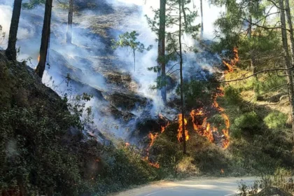 उत्तराखंड: लकड़ी के मकान में लगी भीषण आग, दो लोगों की दर्दनाक मौत