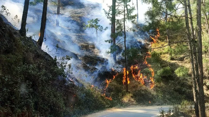 उत्तराखंड: लकड़ी के मकान में लगी भीषण आग, दो लोगों की दर्दनाक मौत