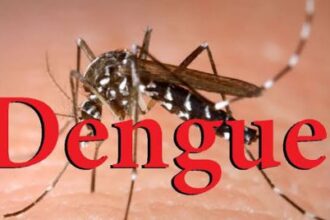 स्वास्थ्य विभाग ने डेंगू व चिकनगुनिया के मरीजों को देखते हुए गाइडलाइन की जारी