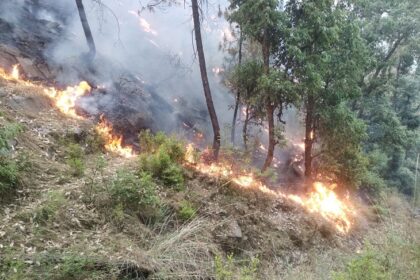 लगातार धधक रहे जंगल- लैंसडॉउन छावनी क्षेत्र के जंगल तक पहुंची जयहरीखाल के सिविल जंगलों की आग 