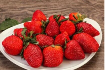 स्ट्रॉबेरी खाना किडनी रोगियों के लिए होता है लाभदायक, मिलते हैं कई फायदे