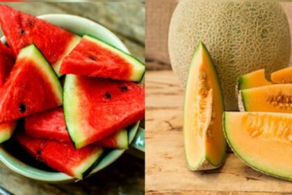 क्या आप भी तरबूज और खरबूज को लेकर कन्फ्यूजऩ में हैं, तो यहां जानें गर्मी में कौन ज्यादा फायदेमंद