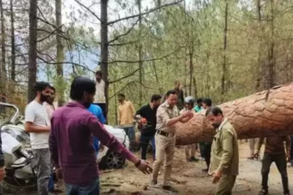 उत्तराखंड: यहां चलती कार के ऊपर गिरा पेड़, एक की मौत, दूसरा गंभीर