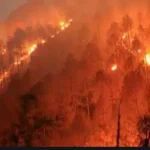 जंगल की आग की चपेट में आने से एक की दर्दनाक लोगों की मौत , दो महिलाएं गंभीर रूप से झुलसीं