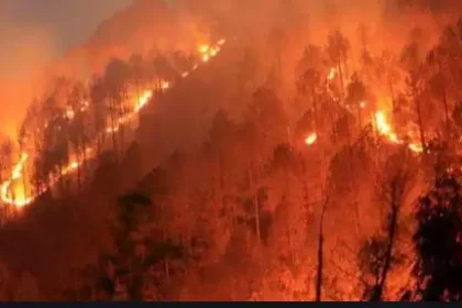 जंगल की आग की चपेट में आने से एक की दर्दनाक लोगों की मौत , दो महिलाएं गंभीर रूप से झुलसीं