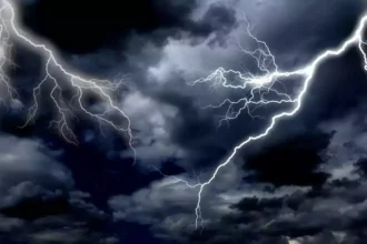 बागेश्वर में आकाशीय बिजली का कहर, 121 बकरियों की दर्दनाक मौत