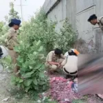 उत्तराखंड: यहां हाईवे के पास युवती का शव मिलने से मची सनसनी, गला रेतकर मर्डर