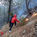 धधकते जंगलों को बारिश का इंतजार, रील बनाने के लिए लगा दी आग, मुकदमा दर्ज