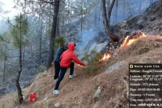धधकते जंगलों को बारिश का इंतजार, रील बनाने के लिए लगा दी आग, मुकदमा दर्ज