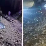 सोमेश्वर में तीन जगह फटा बादल, मलबे में दबी गाड़ियां