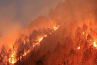 24 घंटे में वनाग्नि के 40 मामले आए सामने, 70 हेक्टेयर क्षेत्र को पहुंचा नुकसान 
