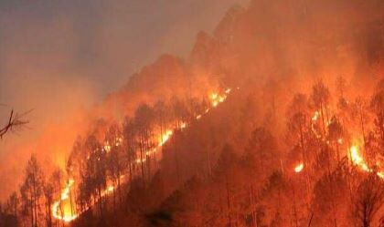 24 घंटे में वनाग्नि के 40 मामले आए सामने, 70 हेक्टेयर क्षेत्र को पहुंचा नुकसान 
