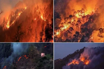 उत्तराखंड में आग का तांडव, बीते दिन 68 जगह धधके जंगल