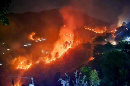 जंगलों में आग, तबाही के बाद ही होते हैं बचाव और सुरक्षा को लेकर सचेत