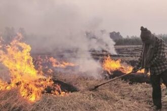 खेतों में फसल कटाई के बाद अवशेषों को जलाने पर लगी रोक, मुख्यमंत्री धामी ने दिए ये निर्देश 