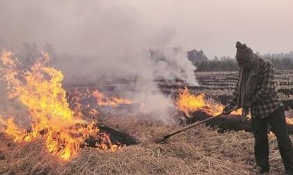 खेतों में फसल कटाई के बाद अवशेषों को जलाने पर लगी रोक, मुख्यमंत्री धामी ने दिए ये निर्देश 