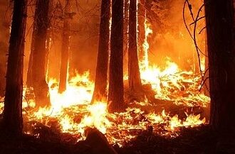 आग लगाने की घटनाओं में पकड़े जाने वाले व्यक्तियों पर लगाया जायेगा गुंडा एक्ट 