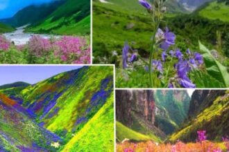 1 जून को पर्यटकों के लिए खुलेगी विश्व प्रसिद्ध फूलों की घाटी, ये रहेगा शुल्क