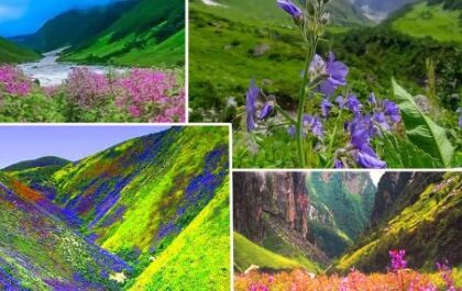 1 जून को पर्यटकों के लिए खुलेगी विश्व प्रसिद्ध फूलों की घाटी, ये रहेगा शुल्क
