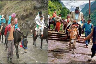 केदारनाथ पैदल रूट पर अब घोड़े खच्चरों के नहीं लगेंगे डबल चक्कर