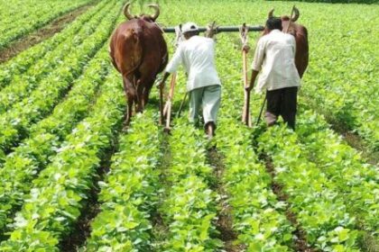 एफपीओ किसानों की उन्नति के पर्याय