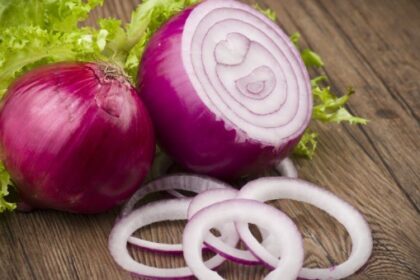 गर्मी के दिनों में रोजाना प्याज खाना सही होता है? जानें इसका सेहत पर क्या असर पड़ता है