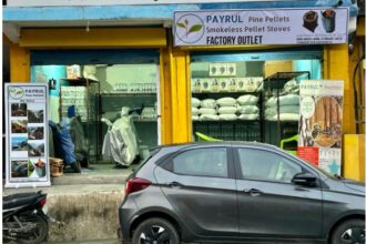 पिरूल के मूल्य में अभूतपूर्व वृद्धि से स्थानीय लोगों को मिल रहा आजीविका का नया अवसर