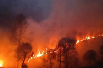 उत्तराखंड: जंगल की आग पहुचीं घरों तक… एक मकान का सारा सामान जलकर खाक