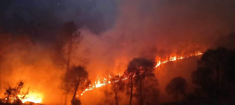 उत्तराखंड: जंगल की आग पहुचीं घरों तक… एक मकान का सारा सामान जलकर खाक