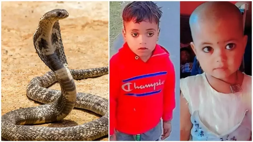 उत्तराखंड: यहां रात में सो रहे थे भाई- बहन, सांप के डसने से दोनों की दर्दनाक मौत