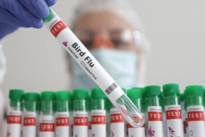पश्चिम बंगाल में 4 वर्षीय बच्ची में पाया गया बर्ड फ्लू का पहला मामला
