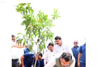 विश्व पर्यावरण दिवस- सीएम धामी ने सिटी पार्क में किया वृक्षारोपण