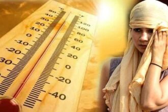 भीषण गर्मी की मार झेल रहा उत्तराखंड, मैदान से लेकर पहाड़ तक तपिश से जन- जीवन प्रभावित 