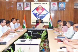 दोपहिया वाहनों पर पीछे बैठने वाले भी पहनेंगे हेलमेट, सभी के लिए सीट बेल्ट नियम होगा लागू