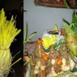 ‘हरेला’ यानी हरियाली, सुख-समृद्धि का प्रतीक है ये खास पर्व, जानिए इसकी मान्यता