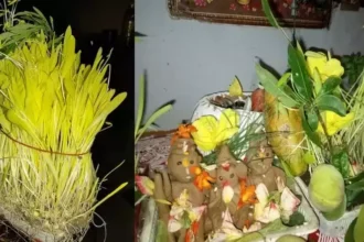 ‘हरेला’ यानी हरियाली, सुख-समृद्धि का प्रतीक है ये खास पर्व, जानिए इसकी मान्यता